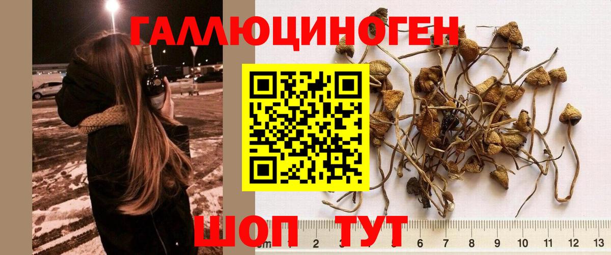 Галлюциногенные грибы Psilocybine cubensis  Вход с VPN  Советск  Галлюциногенные грибы ЛСД 